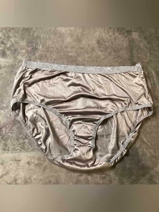 Fruit of the Loom Other - Fruit of the Loom Women's Satin Brief Panty - Silver Gray
